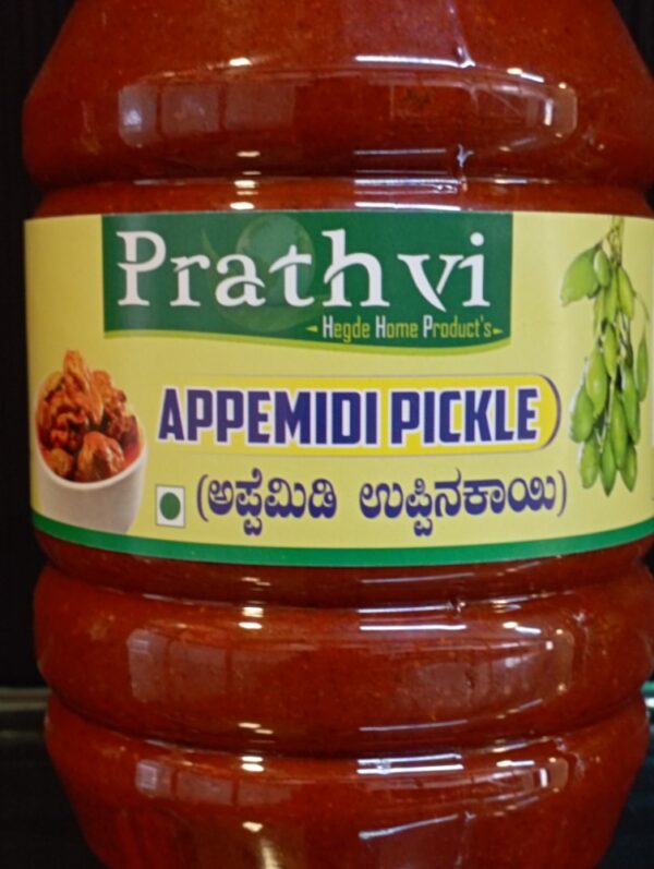 IMG_20221101_104820.bak_.jpg Appemidi Pickle (Prathvi)